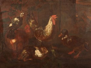 家禽和兔子 作者 乔凡尼·弗朗切斯科·卡萨纳